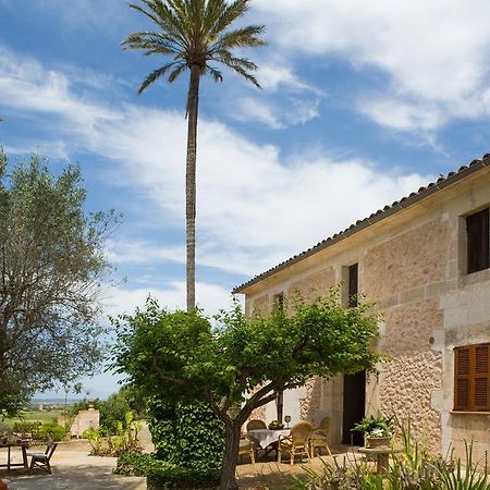 Agroturismo Es Pla De Llodra Villa Manacor  Exterior photo